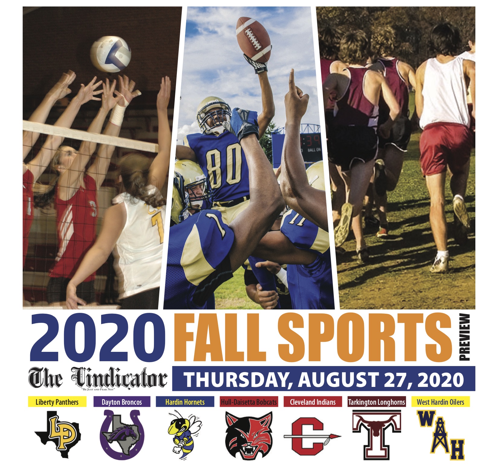 Article Image Alt Text