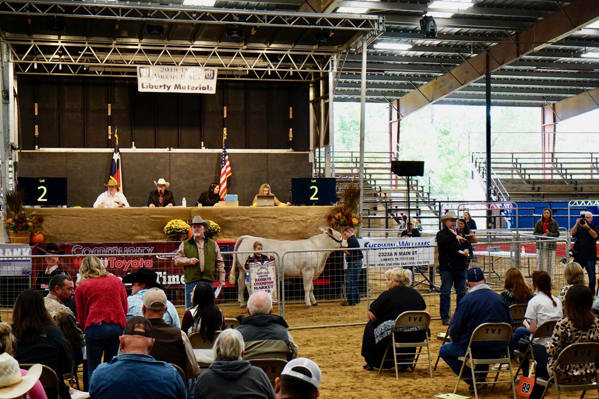 Photos from TVE’s auction Liberty Vindicator