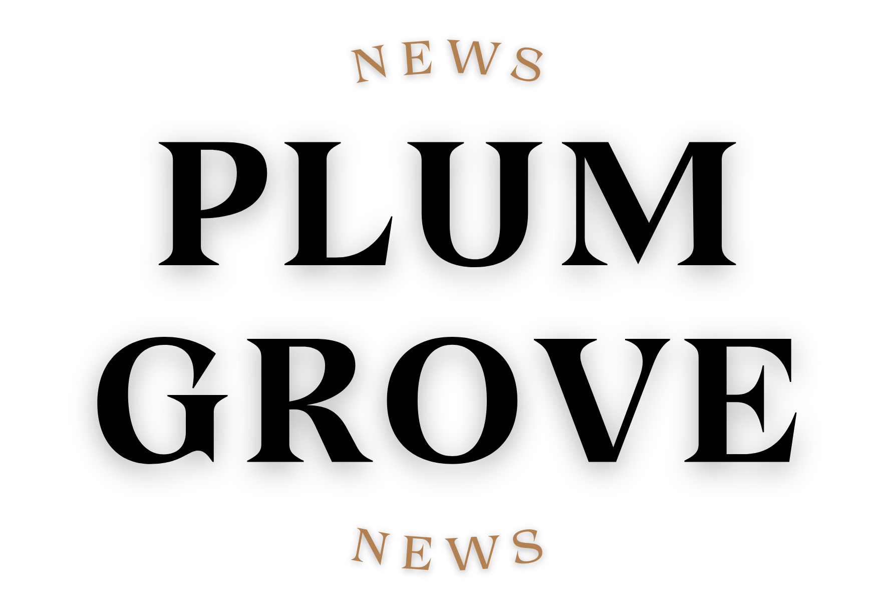 Plum Grove tables several items, votes to continue litigation Liberty