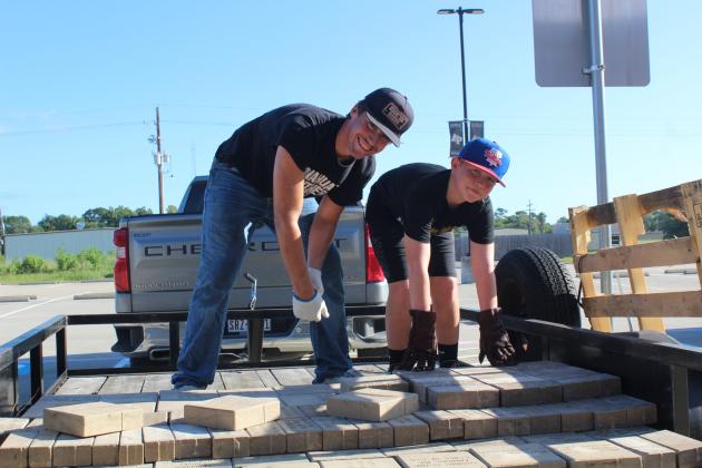 Article Image Alt Text