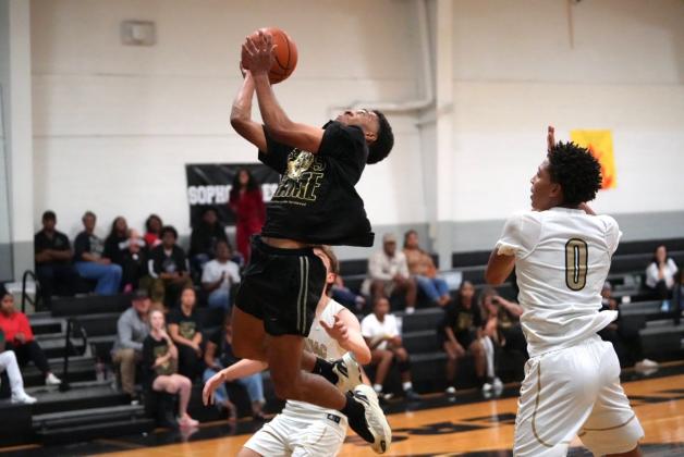 Article Image Alt Text