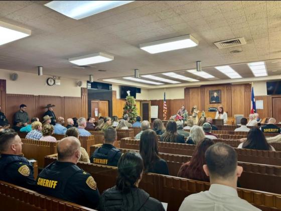 Article Image Alt Text