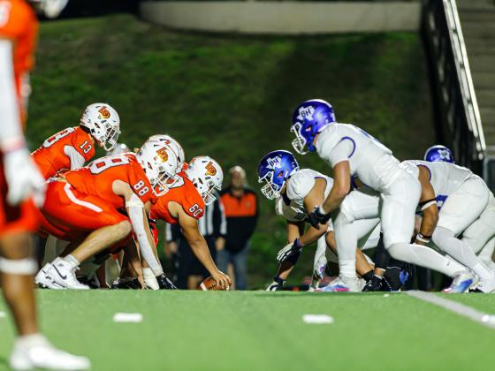 Article Image Alt Text