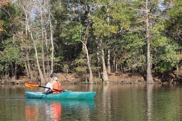NPS photo — A visitor to the Big Thicket National Preserve paddles along in the Beaumont Unit. Article Image Alt Text
