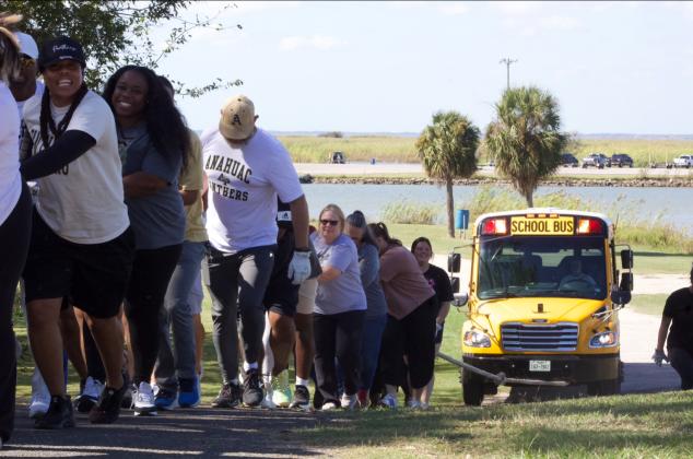 Article Image Alt Text