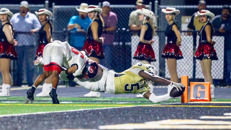 Article Image Alt Text