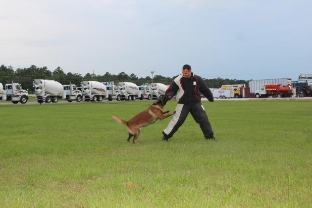 Article Image Alt Text