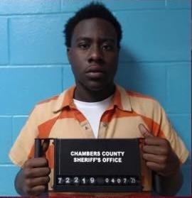 Article Image Alt Text