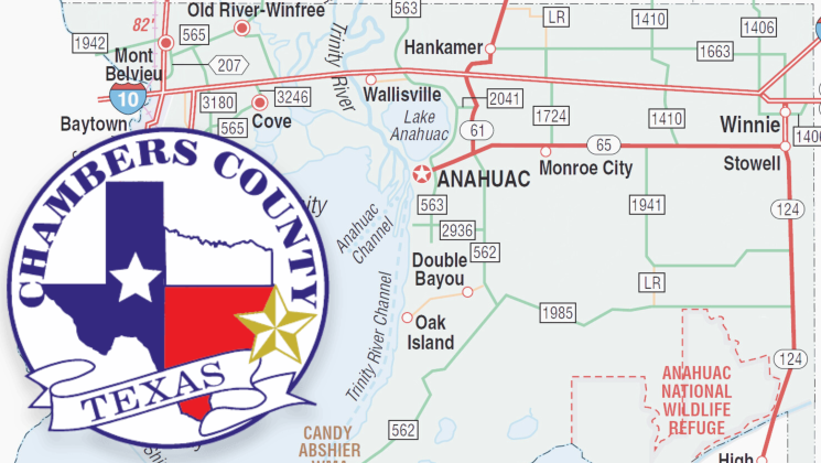 Article Image Alt Text