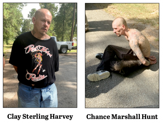 Article Image Alt Text