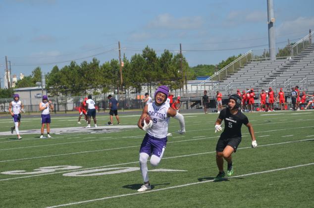 Article Image Alt Text