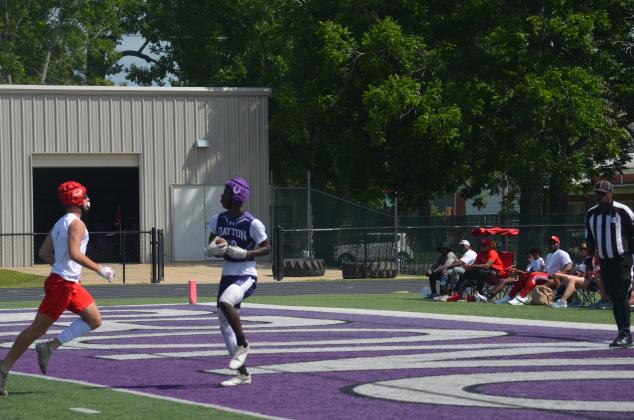 Article Image Alt Text