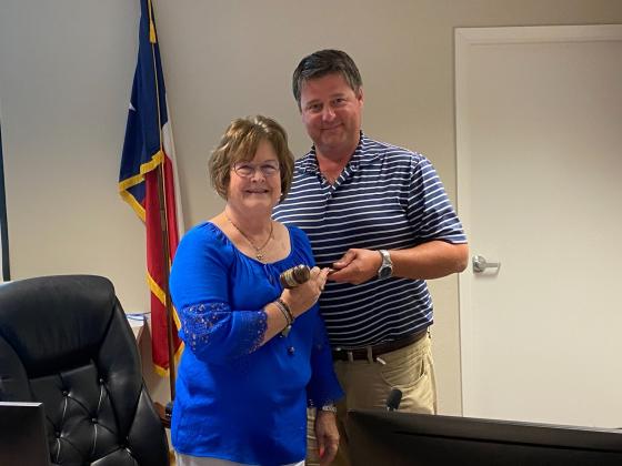 Article Image Alt Text