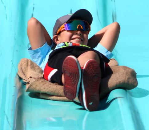 Article Image Alt Text