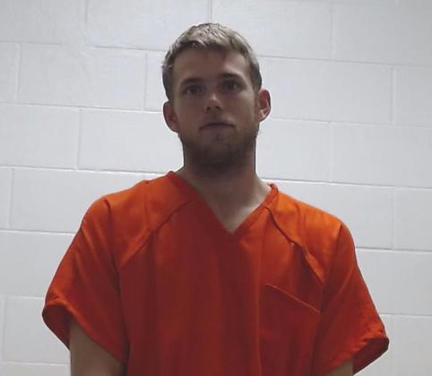 Article Image Alt Text