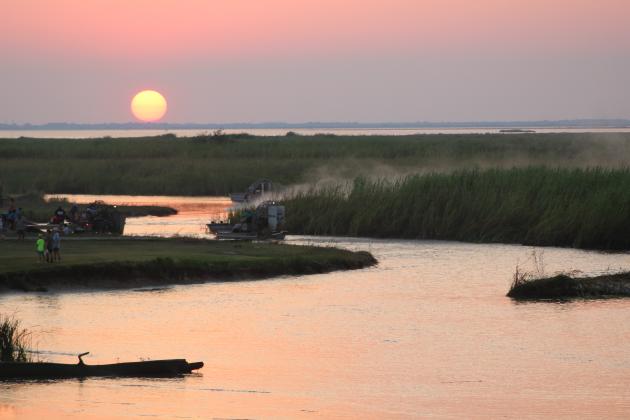 Article Image Alt Text