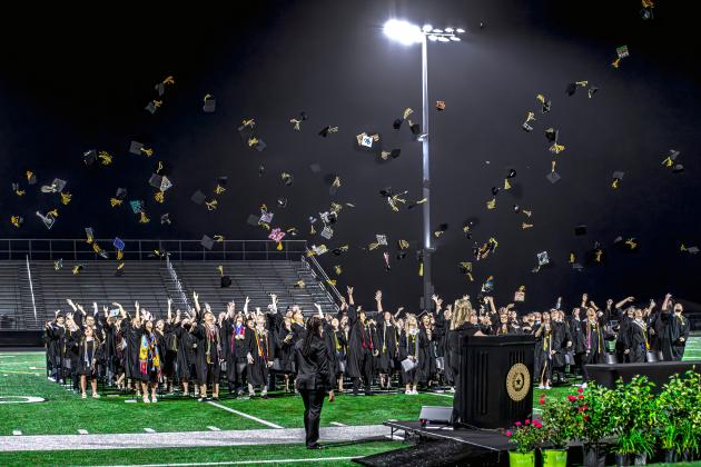 Article Image Alt Text