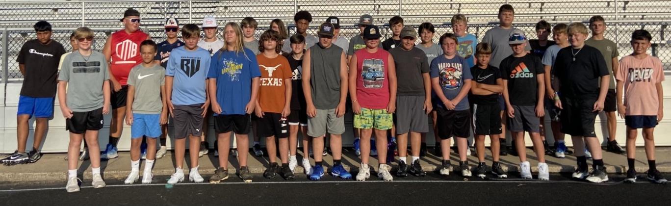 Article Image Alt Text