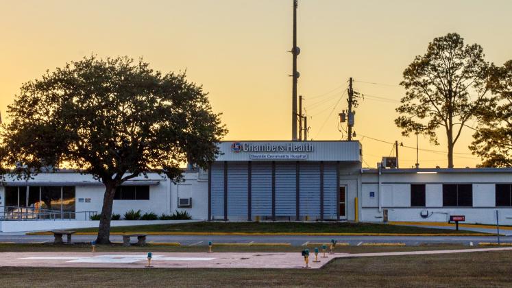 Article Image Alt Text