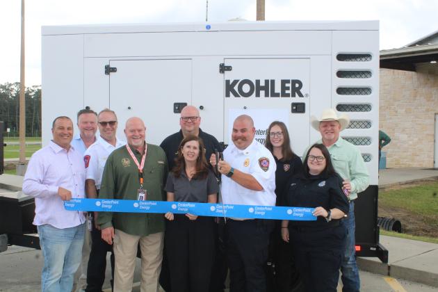 Article Image Alt Text