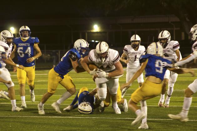 Article Image Alt Text