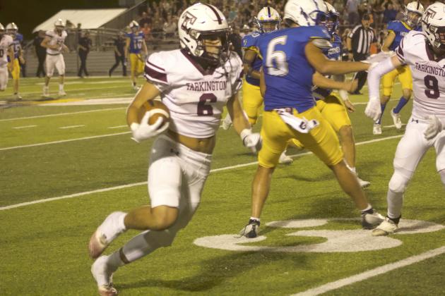 Article Image Alt Text