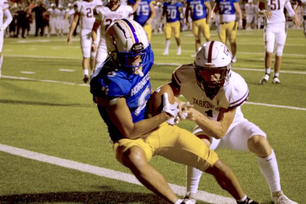 Article Image Alt Text