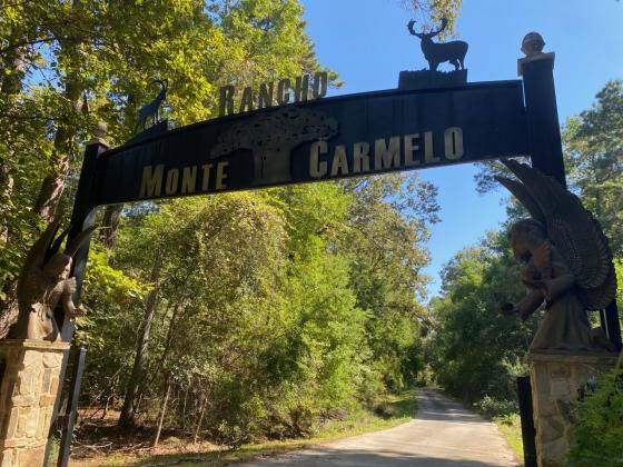 Article Image Alt Text