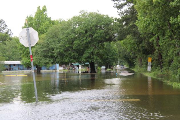 Article Image Alt Text