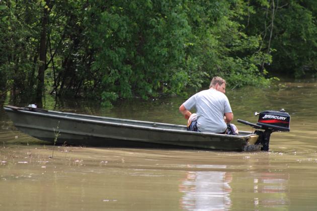 Article Image Alt Text