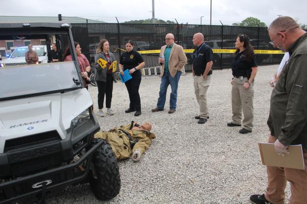 Article Image Alt Text