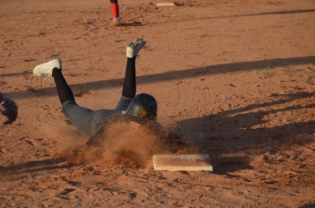 Article Image Alt Text