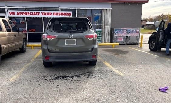 Article Image Alt Text