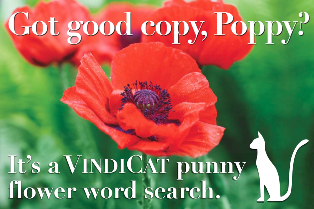 Article Image Alt Text