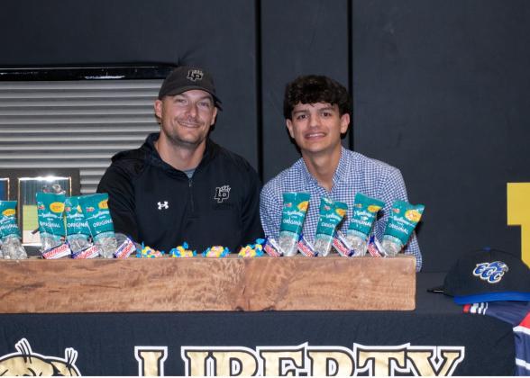 Article Image Alt Text