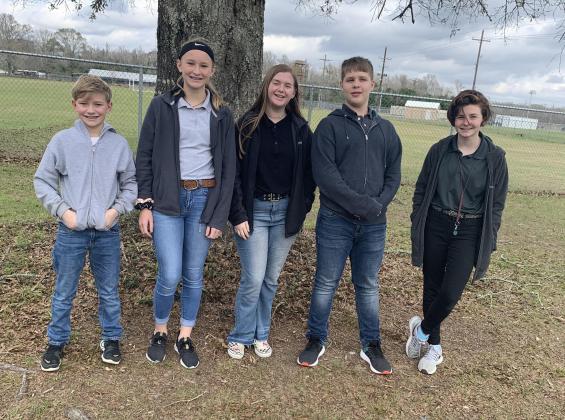 Article Image Alt Text