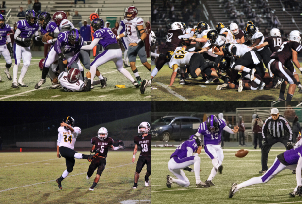 Article Image Alt Text