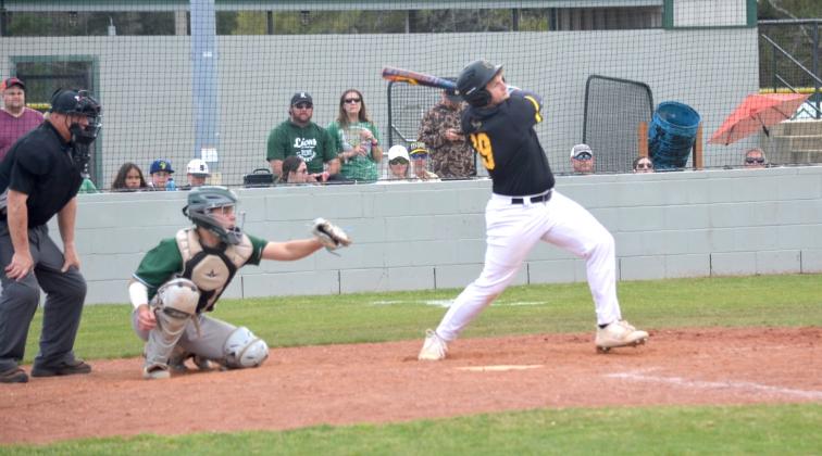 Article Image Alt Text