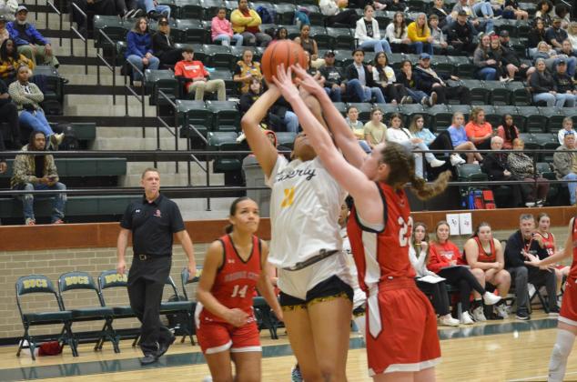 Article Image Alt Text