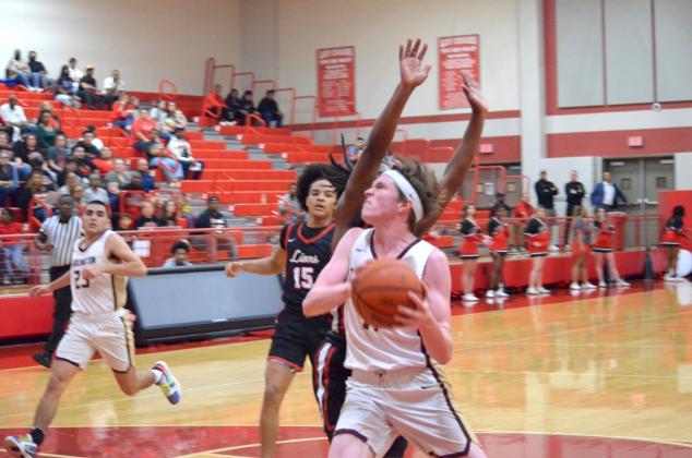 Article Image Alt Text