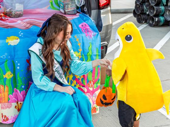 Article Image Alt Text