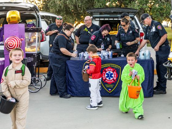 Article Image Alt Text