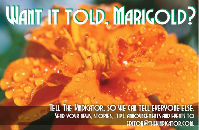 Article Image Alt Text