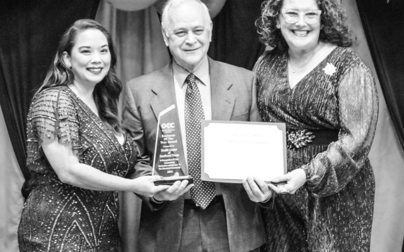 Article Image Alt Text