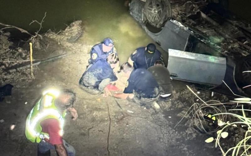 Article Image Alt Text