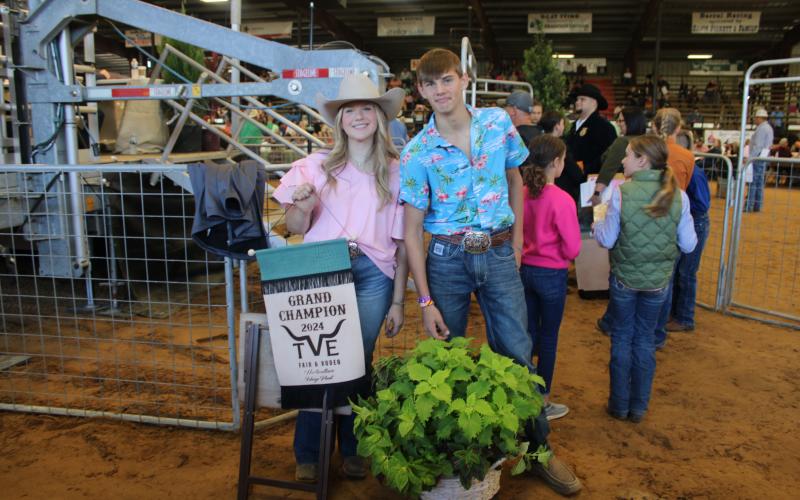 Article Image Alt Text