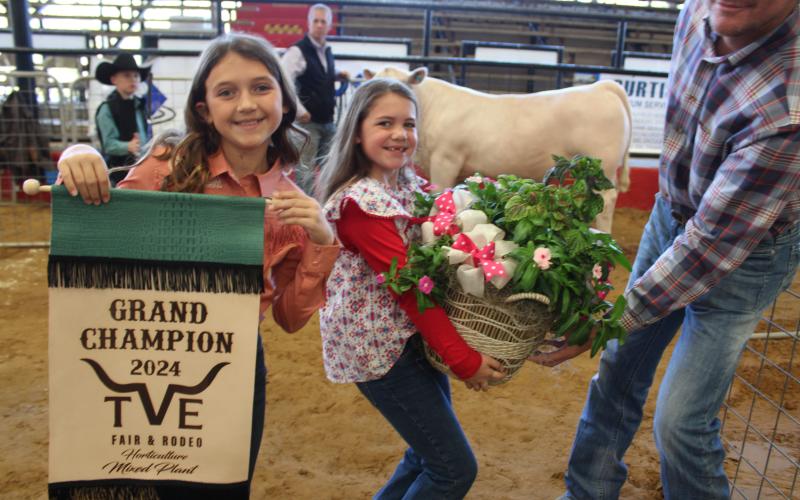 Article Image Alt Text