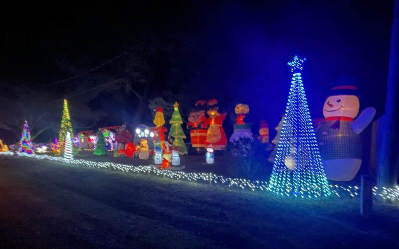 Article Image Alt Text