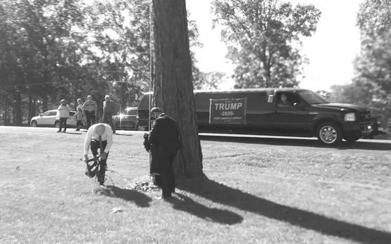 Article Image Alt Text