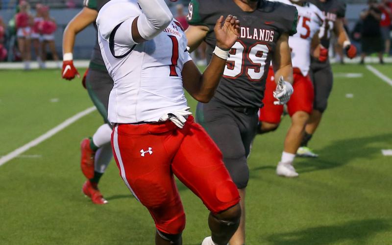 Article Image Alt Text